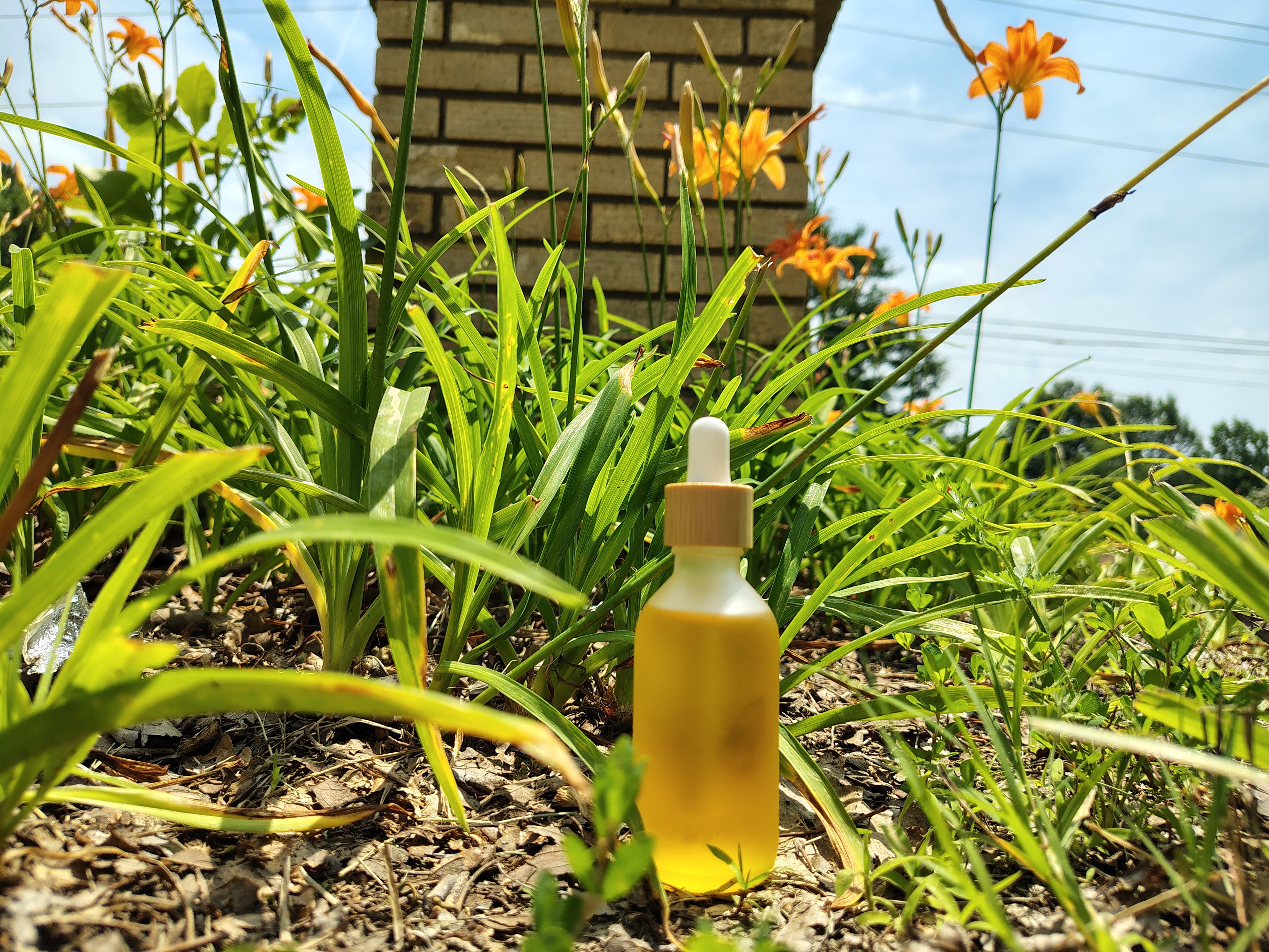 Little suns botanical hair & body oil